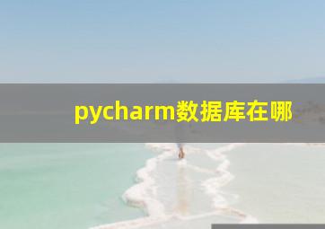 pycharm数据库在哪