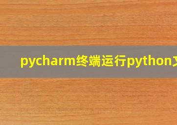 pycharm终端运行python文件