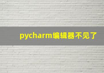 pycharm编辑器不见了