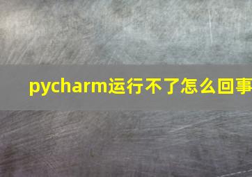 pycharm运行不了怎么回事