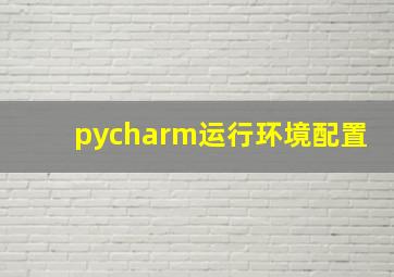 pycharm运行环境配置