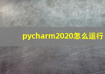 pycharm2020怎么运行