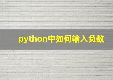 python中如何输入负数