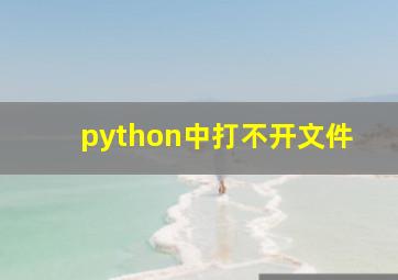 python中打不开文件