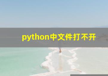 python中文件打不开