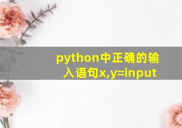 python中正确的输入语句x,y=input