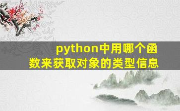 python中用哪个函数来获取对象的类型信息