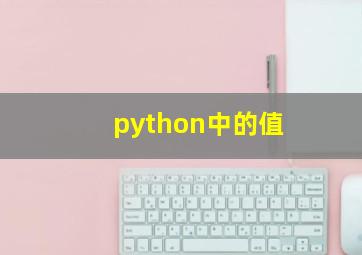 python中的值