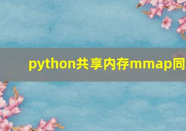 python共享内存mmap同步