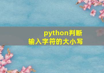 python判断输入字符的大小写