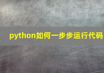 python如何一步步运行代码