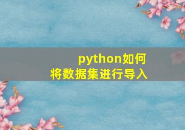 python如何将数据集进行导入