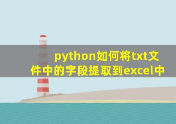 python如何将txt文件中的字段提取到excel中