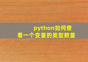 python如何查看一个变量的类型数量