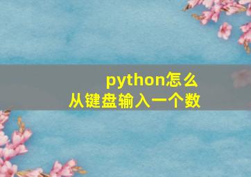 python怎么从键盘输入一个数