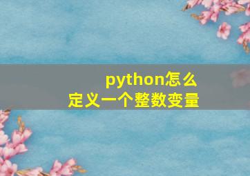 python怎么定义一个整数变量