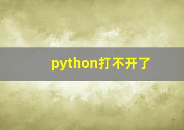 python打不开了