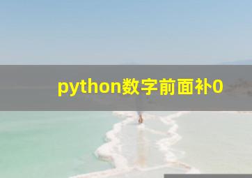 python数字前面补0