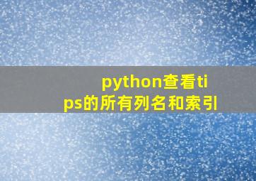 python查看tips的所有列名和索引