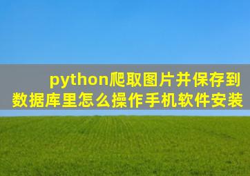 python爬取图片并保存到数据库里怎么操作手机软件安装