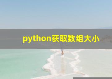 python获取数组大小