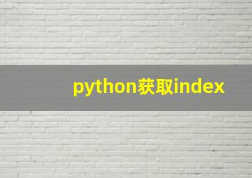 python获取index