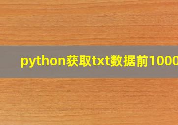 python获取txt数据前1000行