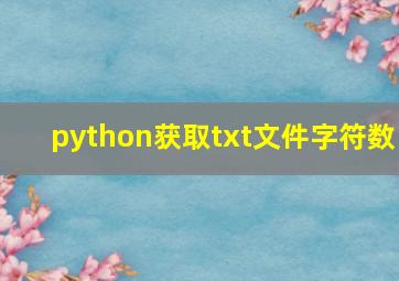 python获取txt文件字符数