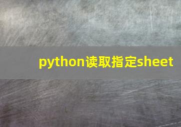 python读取指定sheet