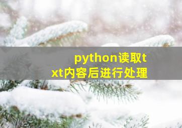 python读取txt内容后进行处理