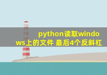 python读取windows上的文件 最后4个反斜杠