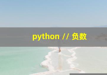 python // 负数