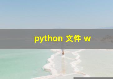 python 文件 w+