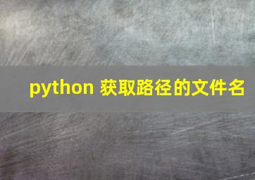 python 获取路径的文件名