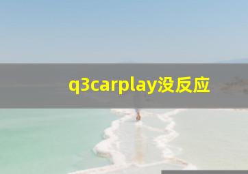 q3carplay没反应