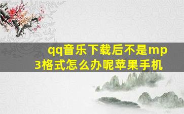 qq音乐下载后不是mp3格式怎么办呢苹果手机