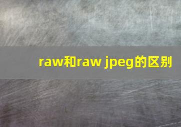 raw和raw+jpeg的区别