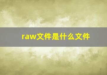 raw文件是什么文件