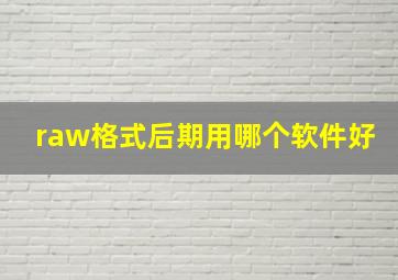 raw格式后期用哪个软件好