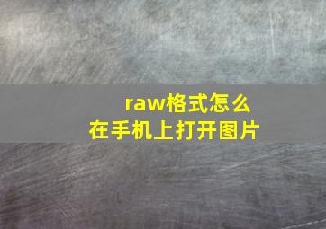 raw格式怎么在手机上打开图片