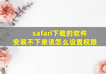 safari下载的软件安装不下来该怎么设置权限