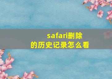 safari删除的历史记录怎么看