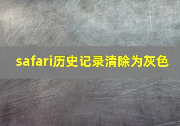 safari历史记录清除为灰色