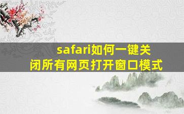 safari如何一键关闭所有网页打开窗口模式