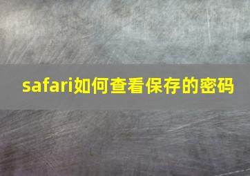 safari如何查看保存的密码