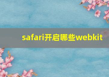 safari开启哪些webkit