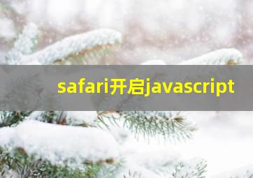 safari开启javascript