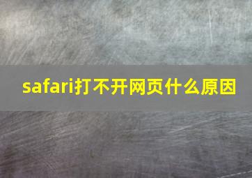 safari打不开网页什么原因