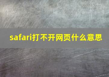 safari打不开网页什么意思