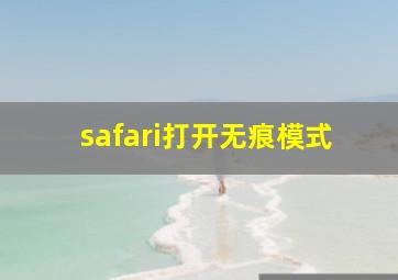 safari打开无痕模式